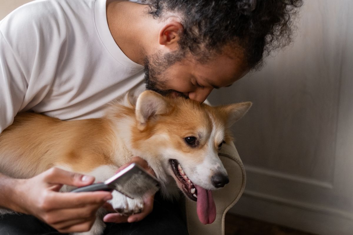 Haustiere im Urlaub betreuen: Hund und Katze zu Hause